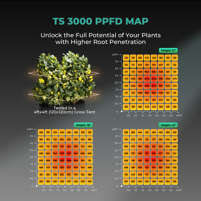Mars Hydro TS3000 LED Grow Light (iConnect Edition) PPFD Map