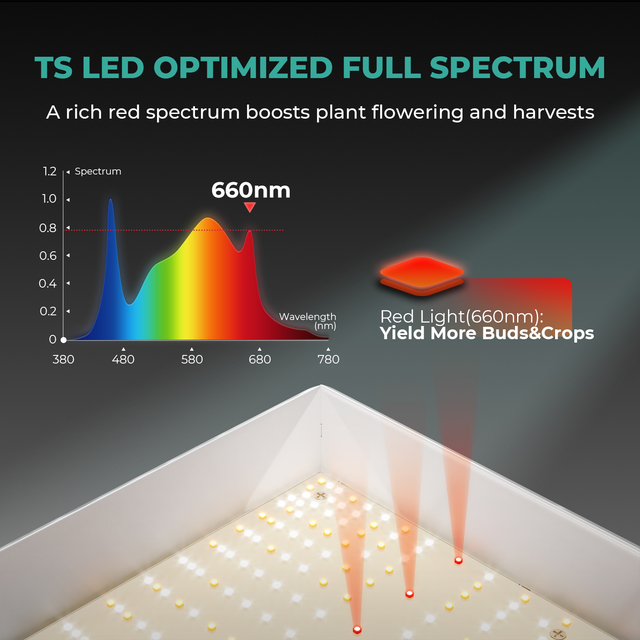 Mars Hydro TS3000 LED Grow Light (iConnect Edition)