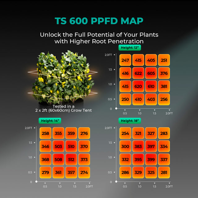 Mars Hydro TS600 LED Grow Light PPFD Map
