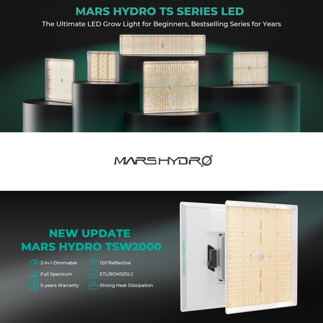 Mars Hydro TSW2000 LED Grow Light 300w