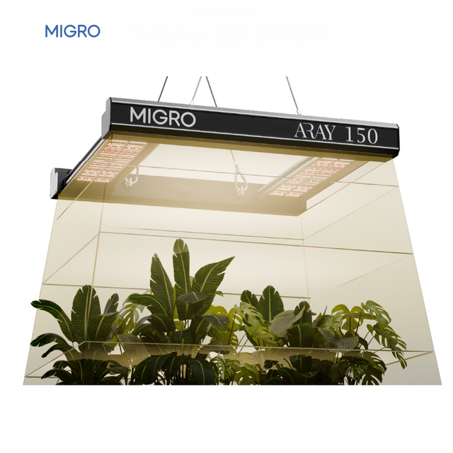 Migro Aray 150 LED Grow Light