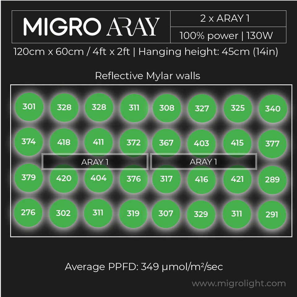 Migro Aray 1 LED Grow Light 65w