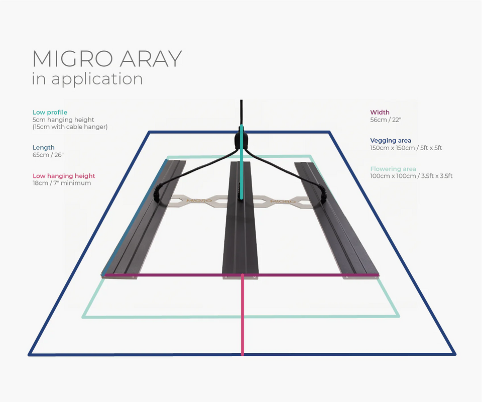 Migro Aray 3 LED Grow Light 250w