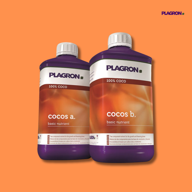 Plagron - Cocos A & B