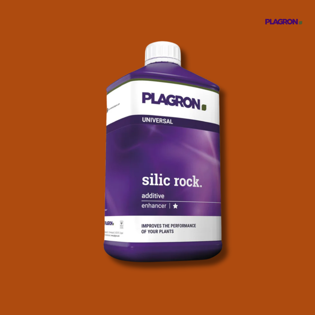 Plagron - Silic Rock