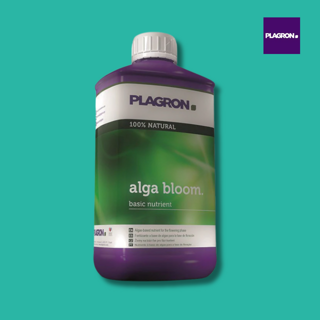 Plagron - Alga Bloom