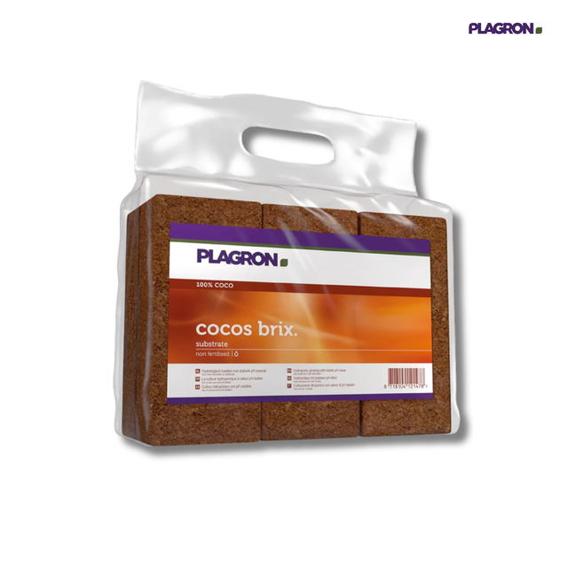 Plagron Cocos Brix - Pack of 6