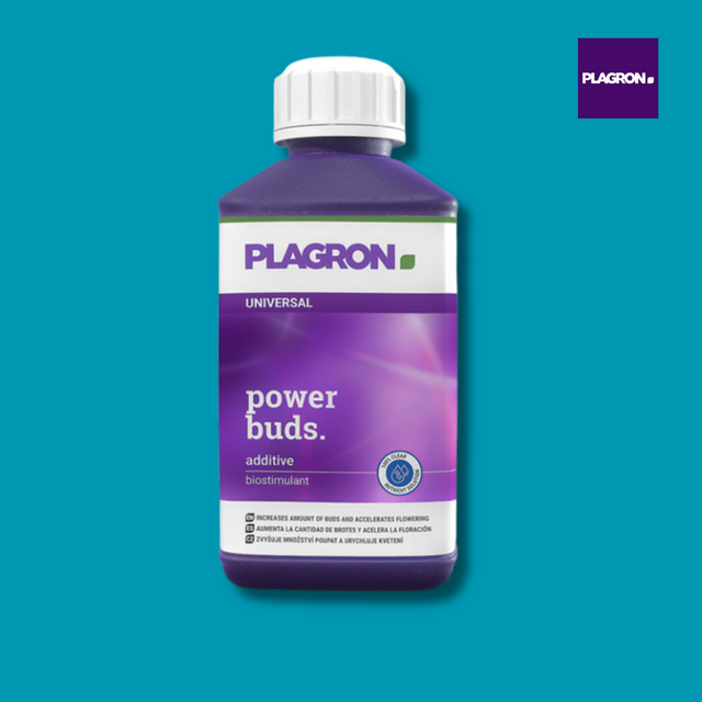 Plagron power buds additive bottle on a blue background