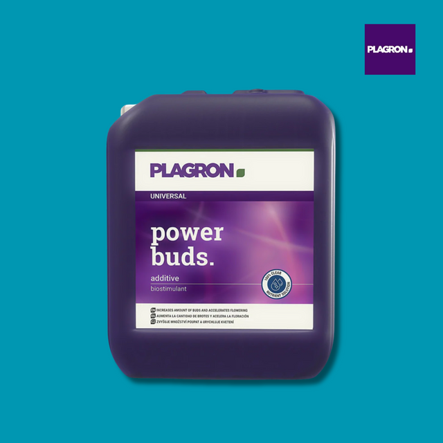 Plagron power buds additive container on a blue background