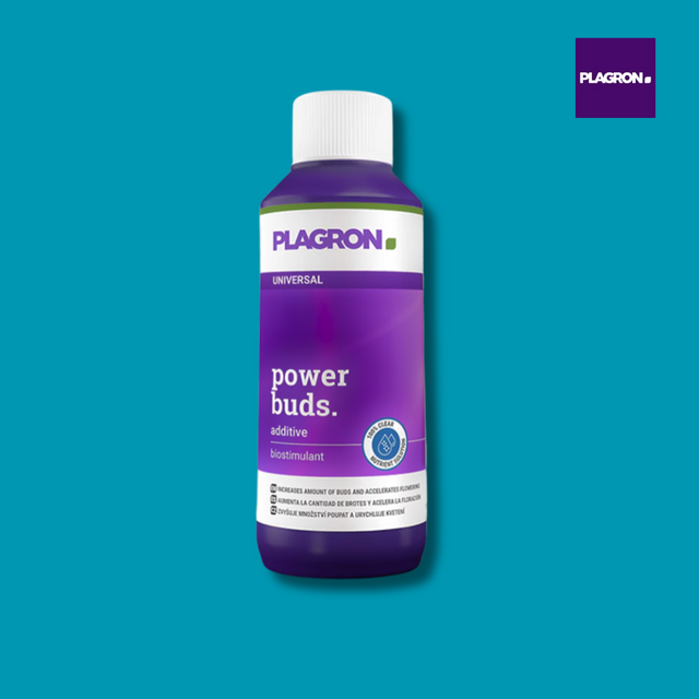 Plagron power buds additive bottle on a blue background