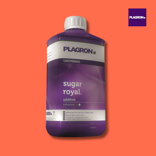 Plagron Sugar Royal additive bottle on an orange background