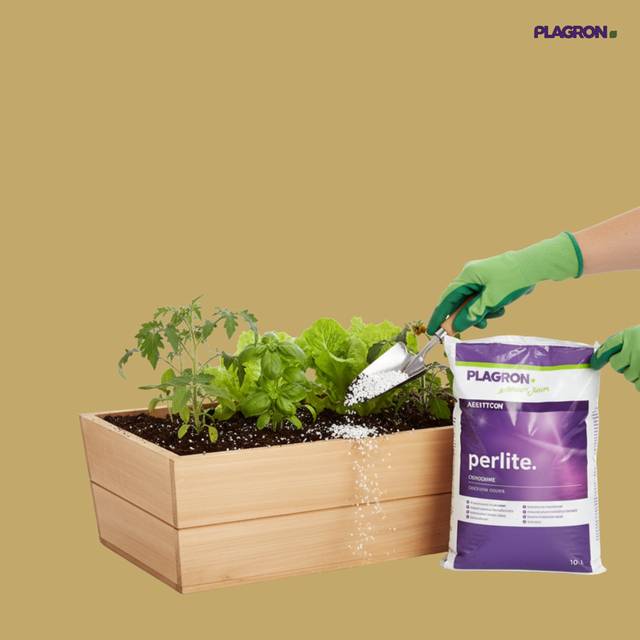 Plagron - Perlite