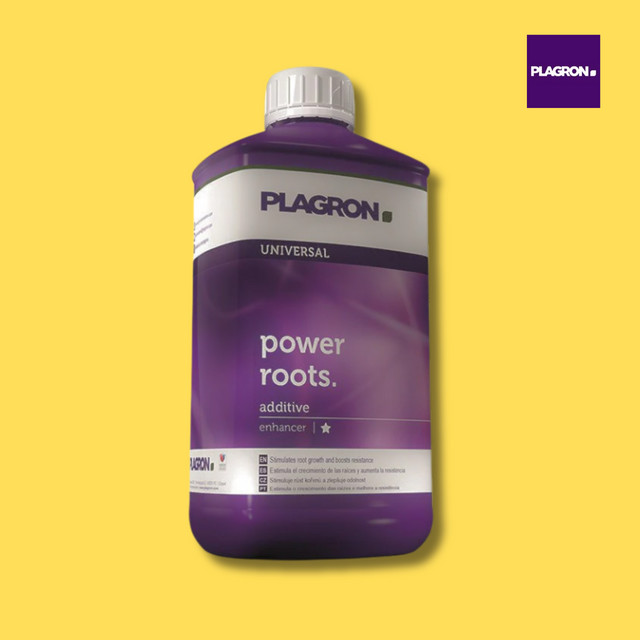 Plagron - Power Roots