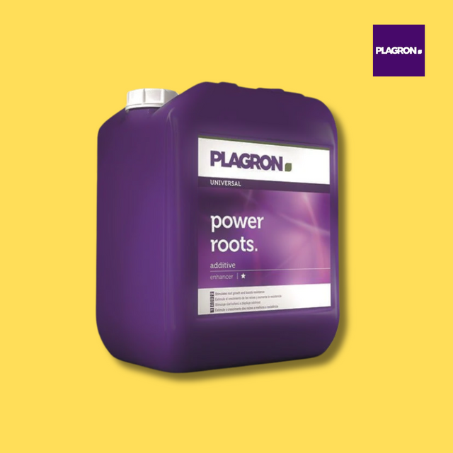 Plagron - Power Roots