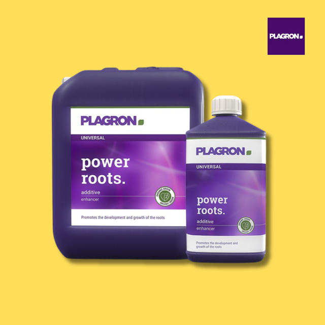 Plagron - Power Roots