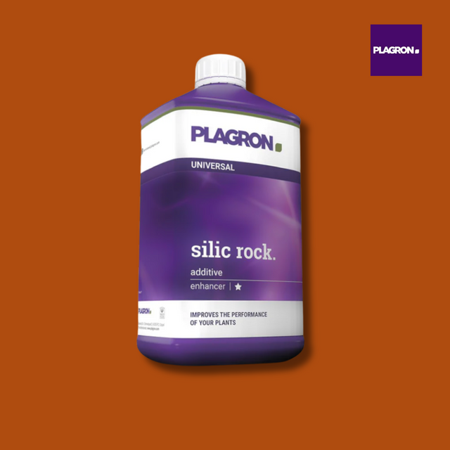 Plagron Silic Rock
