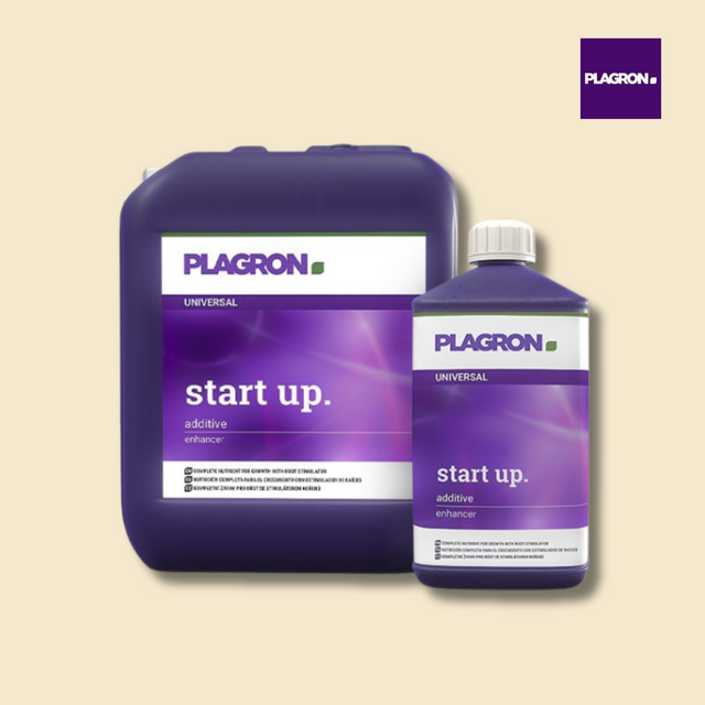 Plagron Start Up
