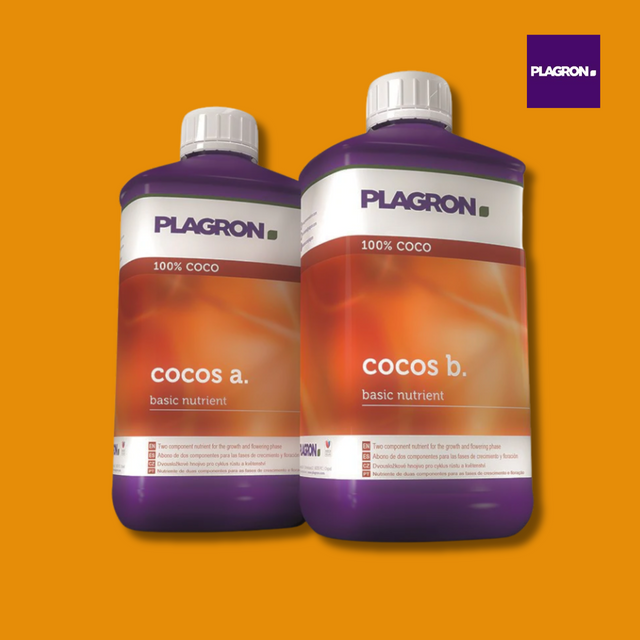 Two Plagron 100% Coco nutrient bottles on an orange background