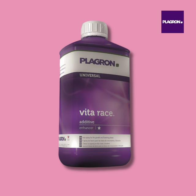 Plagron Vita Race
