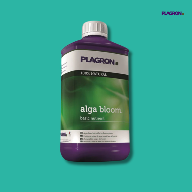 Plagron - Alga Bloom