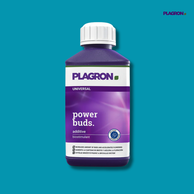 Plagron - Power Buds