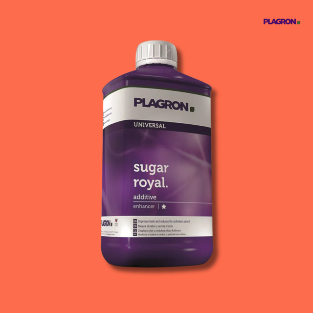 Plagron - Sugar Royal