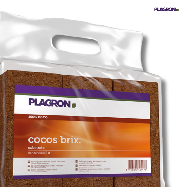 Plagron Cocos Brix - Pack of 6