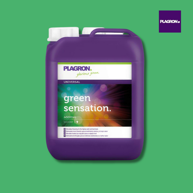 Plagron - Green Sensation