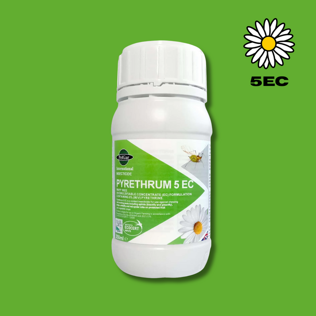 Pyrethrum 5Ec 250ml Organic