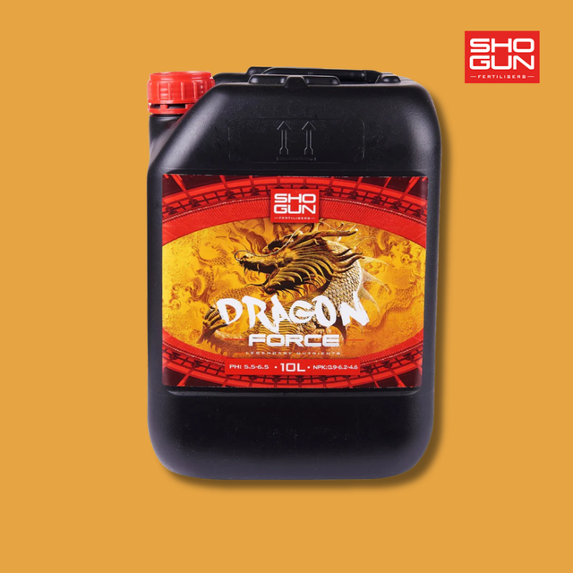 Shogun - Dragon Force