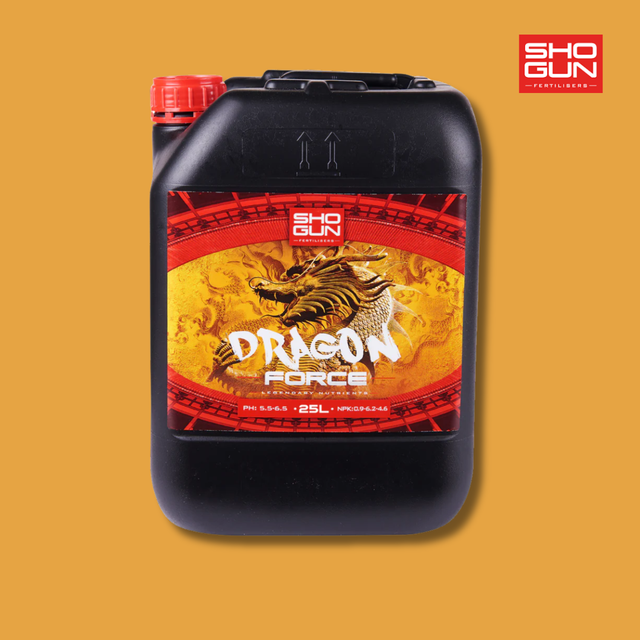 Shogun - Dragon Force