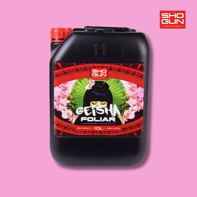 Shogun - Geisha Foliar
