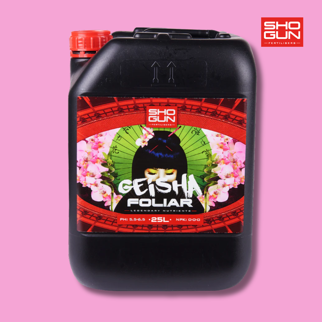 Shogun - Geisha Foliar