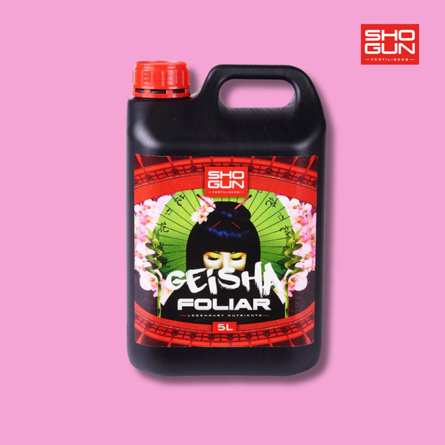 Shogun - Geisha Foliar
