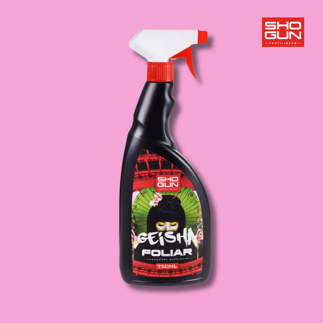 Shogun - Geisha Foliar