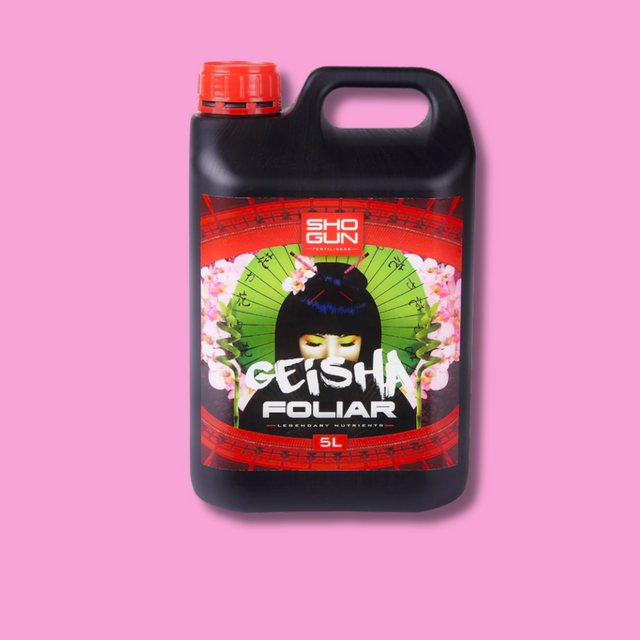 Shogun - Geisha Foliar