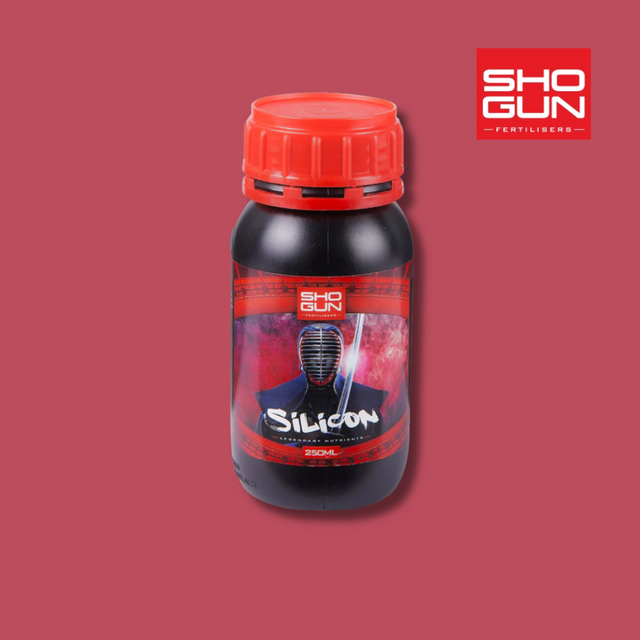Shogun - Silicon