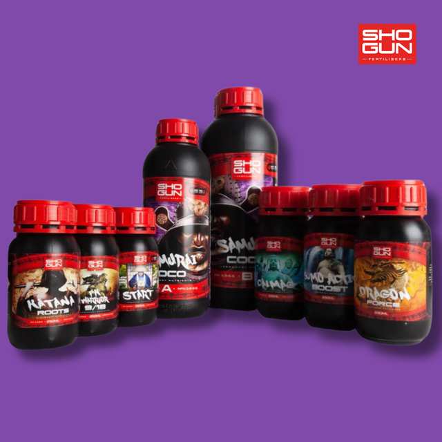 Shogun - Samurai Coco Multipack