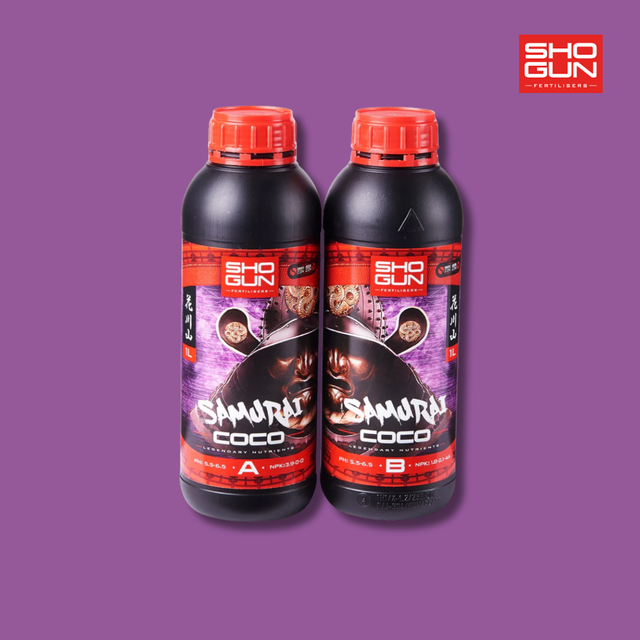 Shogun - Samurai Coco A & B