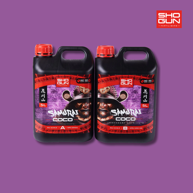 Shogun - Samurai Coco A & B