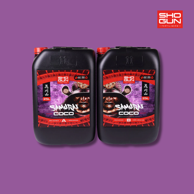 Shogun - Samurai Coco A & B
