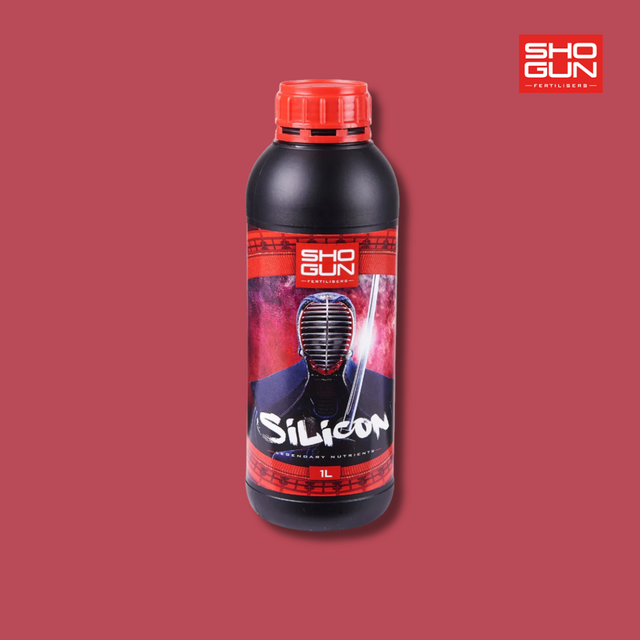 Shogun Silicon