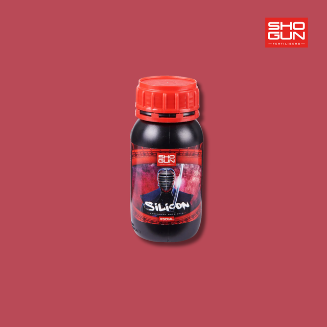 Shogun Silicon