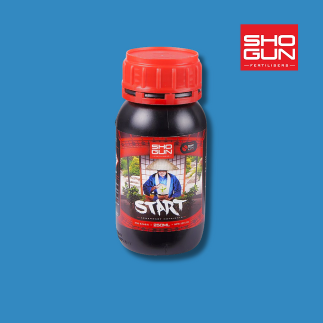 Shogun Start