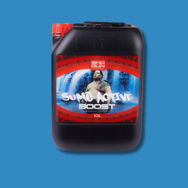 Shogun - Sumo Active Boost