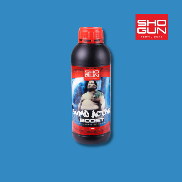 Bottle of Shogun Sumo Active Boost on a blue background