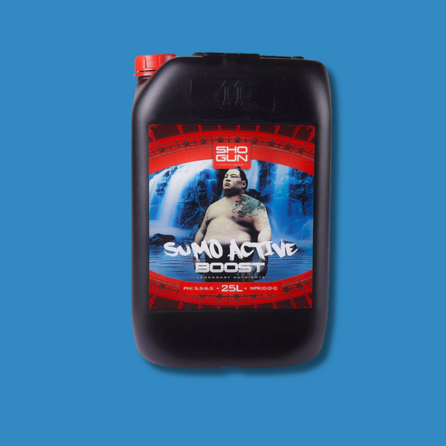 Shogun - Sumo Active Boost