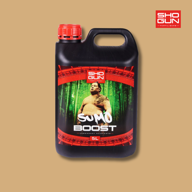 Shogun - Sumo Boost