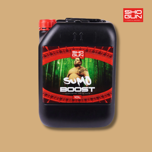 Shogun - Sumo Boost