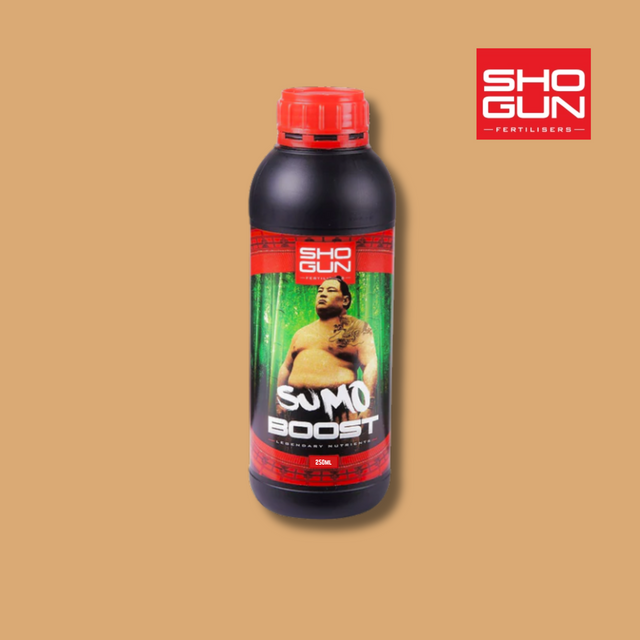 Shogun - Sumo Boost